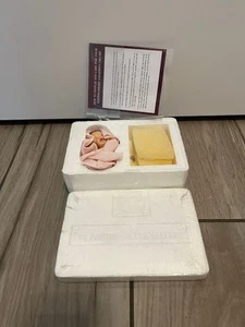 ✅Ashton-Drake Galleries – Realistisch gestaltete Sammler-Babypuppe✅ - Bild 1 von 16