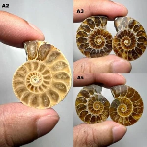 100% Natural Top Quality Ammonite Fossil Pair/Single Cabochon Loose Gemstone - Picture 1 of 4