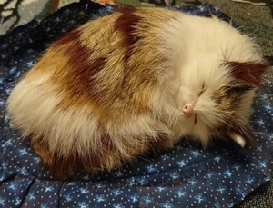 Vintage Realistic Sleeping Cat Figure on Pillow; Possibly Rabbit Fur - Picture 1 of 4