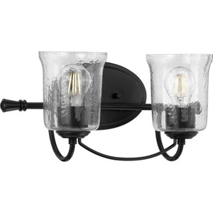 Progress Lighting P300254 Bowman 2 Light 16"W Bathroom Vanity - Black - Picture 1 of 12