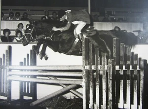 Vintage Equestrian Horse Jumping Photo 14" English Show Riding Young Man 1950's - Picture 1 of 3