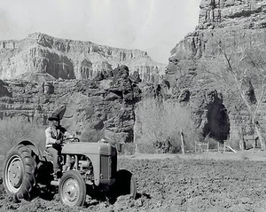 1947 Original Photo worker on tractor plowing land of Grand Canyon National Park - Picture 1 of 2