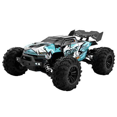 SCY1610 2.4G 1/16 4WD RTR Racing Monstertruck Buggy RC Auto Offroad • 111.83€