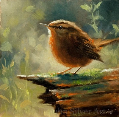 WREN PÁJARO BELLAS ARTES RETRATO PINTURA AL ÓLEO ORIGINAL 25 x 25 cm por JOHN SILVER BA Foto 1 de 4