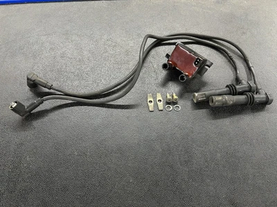 BMW R1100RT 1999 bobina con cables y accesorios de montaje, ¡excelente estado! Foto 1 de 4