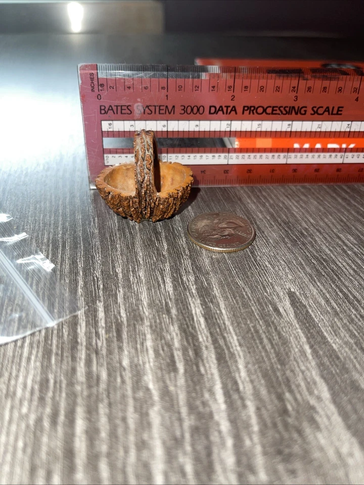 RARE Hand Carved Black Walnut Shell EASTER EGG Basket - Folk Art Nut Miniature - Image 1 of 4