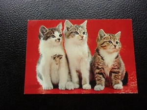 FRANCE - carte postale chats (CY20) - Picture 1 of 2