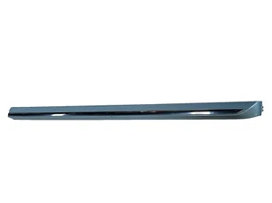 2012-2019 VW BEETLE Passenger Front Door Moulding Blue W Chrome LP5F Oem🔥🚙 - Picture 1 of 6
