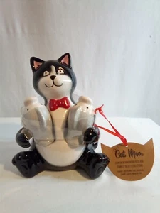 10 STRAWBERRY STREET Cat & Fish Salt & Pepper Shakers Black/White New. Cat Mom - Picture 1 of 11