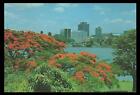 POINCIANA TREES in BRISBANE in 1976 POSTCARD - NEW & PERFECT