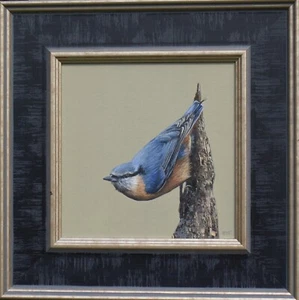 Nuthatch on the Stump, Artwork Original Painting, Framed Not Print Bird - Picture 1 of 8