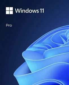 Flash USB Microsoft Windows 11 Professionnel 64 bits authentique neuf emballage - Photo 1/1