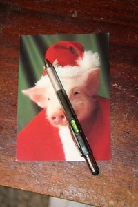National Pork Producers Council 1996 SANTA PIG Vintage Unposted Postcard - Picture 1 of 2
