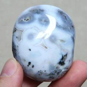 B5638-100g Amazing Natural Orbicular Ocean Jasper Agate Crystal Reiki Stone - Picture 1 of 10