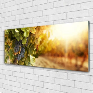 Tulup Wandbilder Glasbilder Dekobild 125x50 Weintrauben Natur - Bild 1 von 6