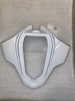 Carena Posteriore BMW S1000RR OEM 46631541912 - Immagine 1 di 4