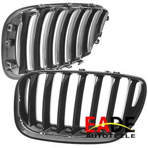 REJILLA RADIADOR RIÑONERA BRILLO NEGRO PUENTE INDIVIDUAL BMW X5 E53 DESDE 2003 - Imagen 1 de 4