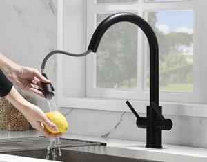 Oakland Two Handle Pull-Down Kitchen Faucet In Matte Black - Picture 1 of 2