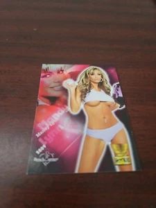 2009 BENCH WARMERS ROOKIE MANDY LYNN CARD # 13 - Picture 1 of 6