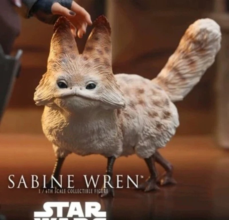 1/6 Loth-cat Figure Hot Toys HT TMS111 Star Wars Ahsoka Sabine Wren Collectible - Image 1 of 1