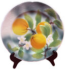 Superb Antique FRENCH ST CLEMENT FRUIT PLATE  Oranges MAJOLICA.