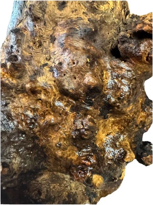 #MB12174 BURL DE MADEIRA DE MANGA RACHADA, ESCALA HÍBRIDA, ESCULTURA, ARTESANATO, CANETAS EM BRANCO, ESCALA - Imagem 1 de 4