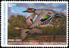 ARKANSAS #40 2020 RESIDENT STATE DUCK  STAMP GREEN WINGED TEAL by Bruce Miller