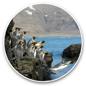 2 x Vinyl Stickers 20cm  - King Penguins Diving Penguin Group  #45473 - Afbeelding 1 van 8