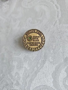 Pin de conductor defensivo Domino's Pizza - Imagen 1 de 2