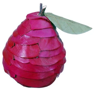 Hoja Ramita Pera Natural Rojo Rústico Campo Fruta Artesanía Floral Decoración Relleno 629f - Imagen 1 de 8