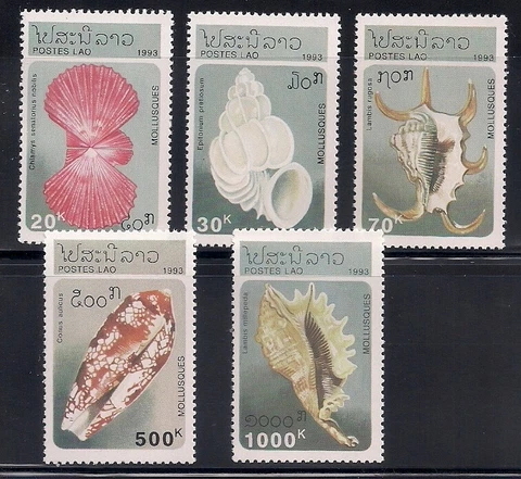 Laos    1993    Sc # 1130-34   Shells    MNH    OG Cover