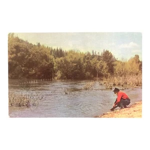 VTG CALIFORNIA UNPOSTED POSTCARD MAN PANNING FOR GOLD ON AMERICAN RIVER CALI - Picture 1 of 2