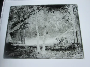 LATE 1800s or EARLY 1900s GLASS NEGATIVE, OUTDOOR SCENE-1 - Picture 1 of 1