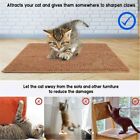 Scratcher Sisal Cat Board Articoli per gatti Tappetino per lettiera