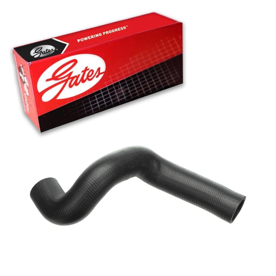 Manguera de refrigerante de radiador Gates inferior para Chevrolet Lumina 1990-1991 APV 3,1 L V6 gasolina Foto 1 de 3