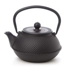 Teaology Fine Hobnail Cast Iron Teapot Black 800ml
