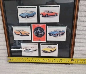 Colección de tarjetas con marco de vidrio de loto de la era dorada con reverso para leer ambos lados - Imagen 1 de 23