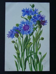 ARÁNDANOS / FLOR DE MAÍZ - Postal francesa antigua - Imagen 1 de 2
