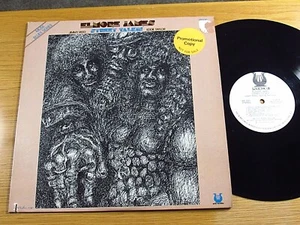 RARE PROMO BLUES LP - ELMORE JAMES, EDDIE TAYLOR, JIMMY REED - MUSE 5087 - Imagen 1 de 3