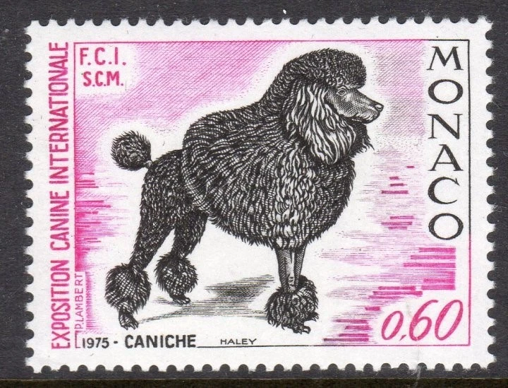 Caniche Monaco Scott # 996 en estado bastante bueno MNH 1975 International Dog Show Foto 1 de 1