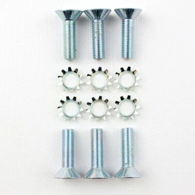 55 56 57 Chevy 4-Door REAR Door Hinge Bolts Screws 1955 1956 1957 Chevrolet - Image 1 of 2