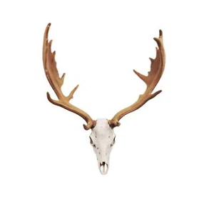 Miniature Deer Skull: Fallow Deer 1:12 Scale Replica dollhouse diorama (1 skull) - Picture 1 of 7