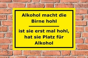 Schild Alkohol macht die Birne hohl Spruch lustig witzig Spaßschild Geschenk - Bild 1 von 6