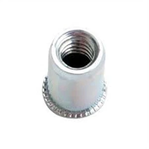 Marson M47455 NUT SERT POLY 1/4"40/BAG - Picture 1 of 1