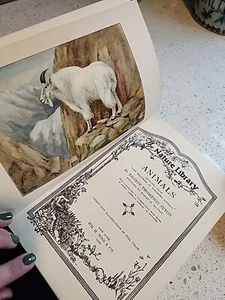 The Nature Library Animals 1930 - Picture 1 of 14