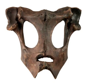 Antique Mask Cérémoniel Animist Tibetan Ritual Shaman Rare Tibet Nepal 26199 - Picture 1 of 9