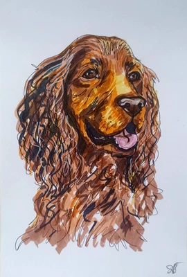 Retrato animal perro cocker spaniel pintura original arte pintado a mano 8x5,5"" Foto 1 de 4