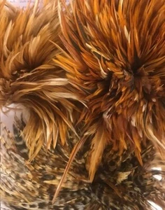 Natürliche Cock Hackles 2g Pack verschiedene Farben Fliegenbinden Gordon Griffiths - Bild 1 von 1