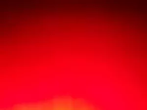 Corduroy Red Fine Wale Corduroy cotton fabric- By The 1/4 yard - Picture 1 of 1