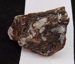 ASTROPHYLLITE WITH AEGIRENE, CANADA ( 73,18) - Picture 1 of 6